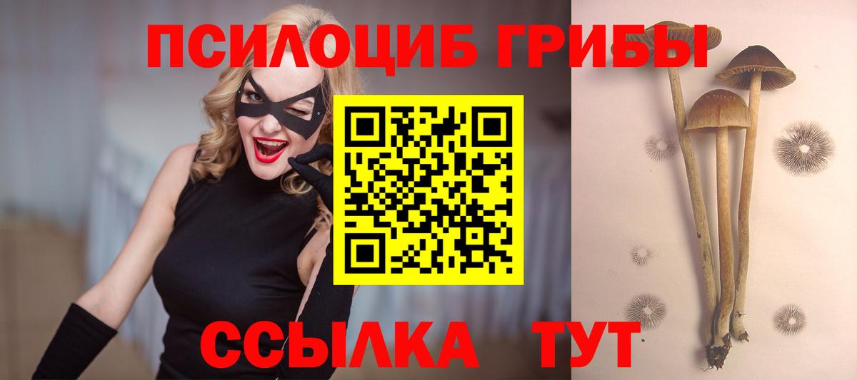 Галлюциногенные грибы прущие грибы Архангельск